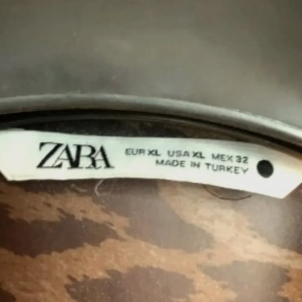 Zara Leopard Print Sheer Organza Shirt